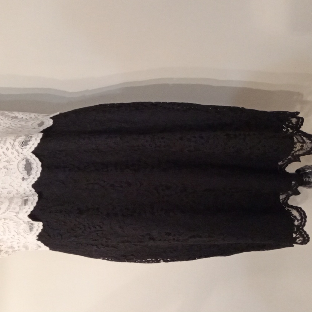 Betsy Johnson Ivory and Black Lace Dress with Collar Size 14 - Picture 3 of 12